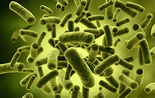 1725526177189944.jpg 如何给宝宝补充益生菌1.jpg