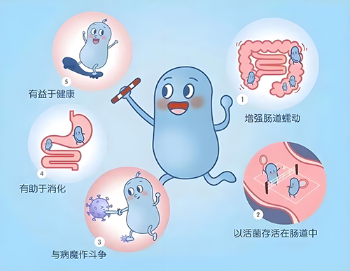 1725526319158789.jpg 如何给宝宝补充益生菌2.jpg