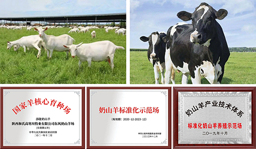 1765420988161489.jpg 和氏乳业再次荣膺重量级荣誉5.jpg